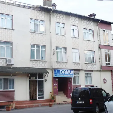 Damla Edirne